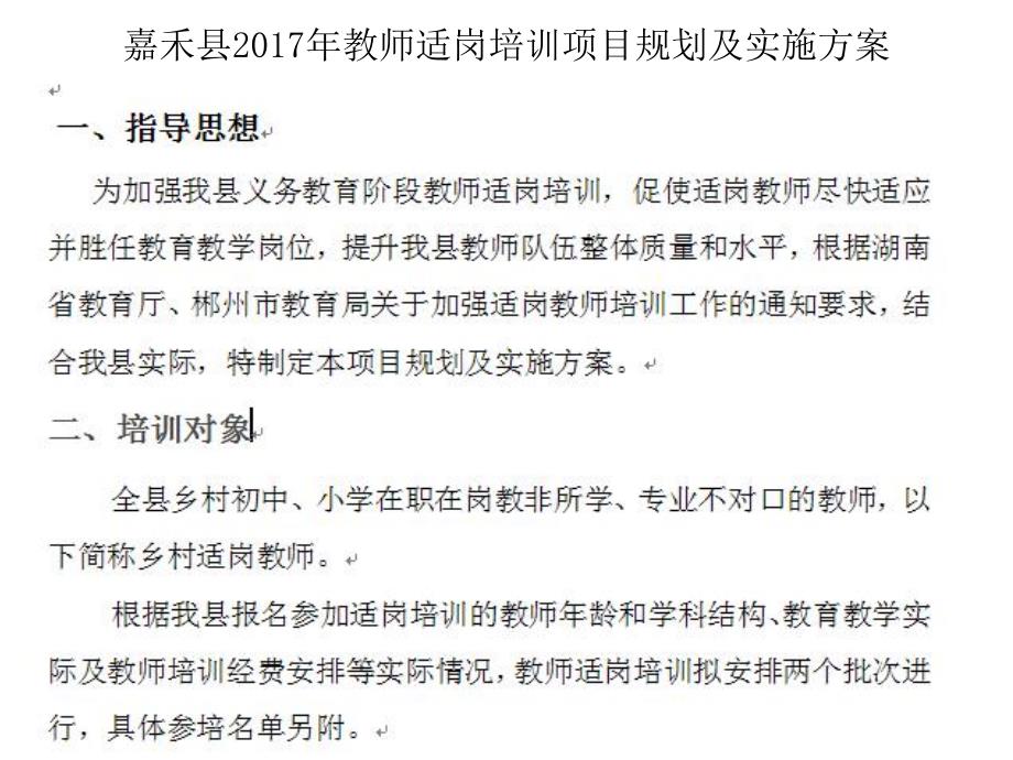 2017年教师适岗培训项目规划及实施方案.pptx_第2页