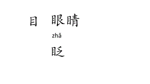 叶子的眼睛.ppt