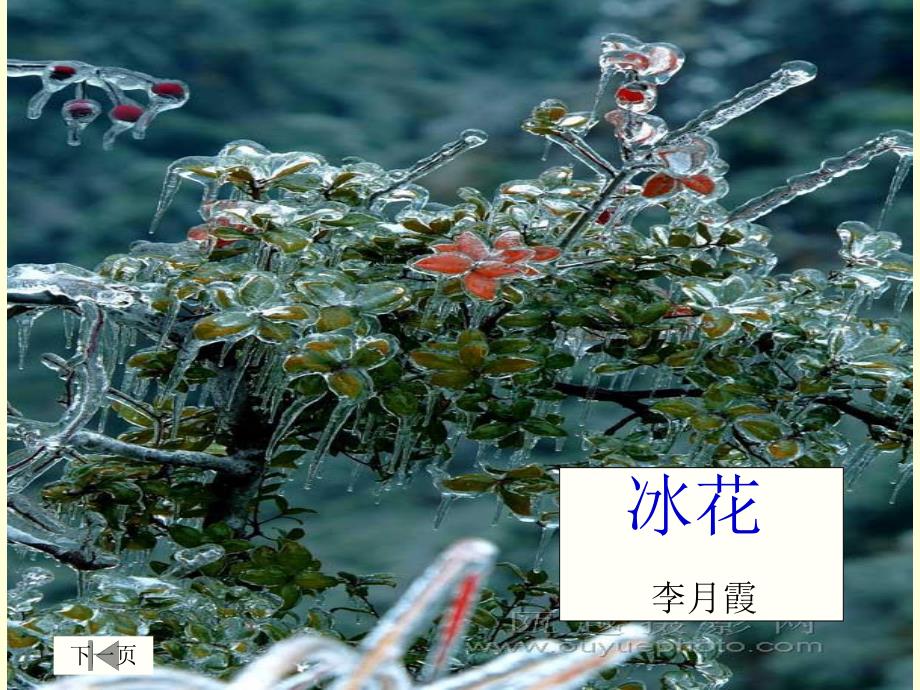 课件 (41).ppt_第1页