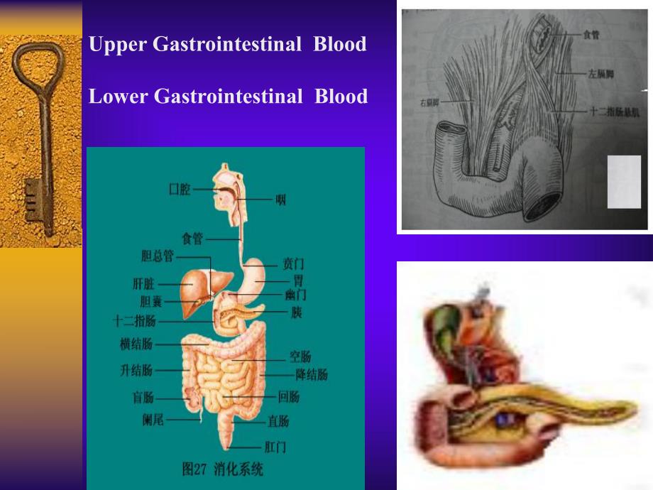 医学专题：呕血便血2013.ppt_第2页