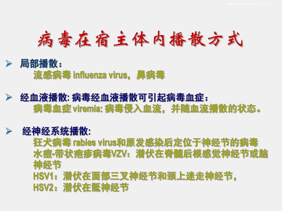 《医学免疫学与微生物学》课件07第20章 病毒的感染与致病机制.ppt_第3页