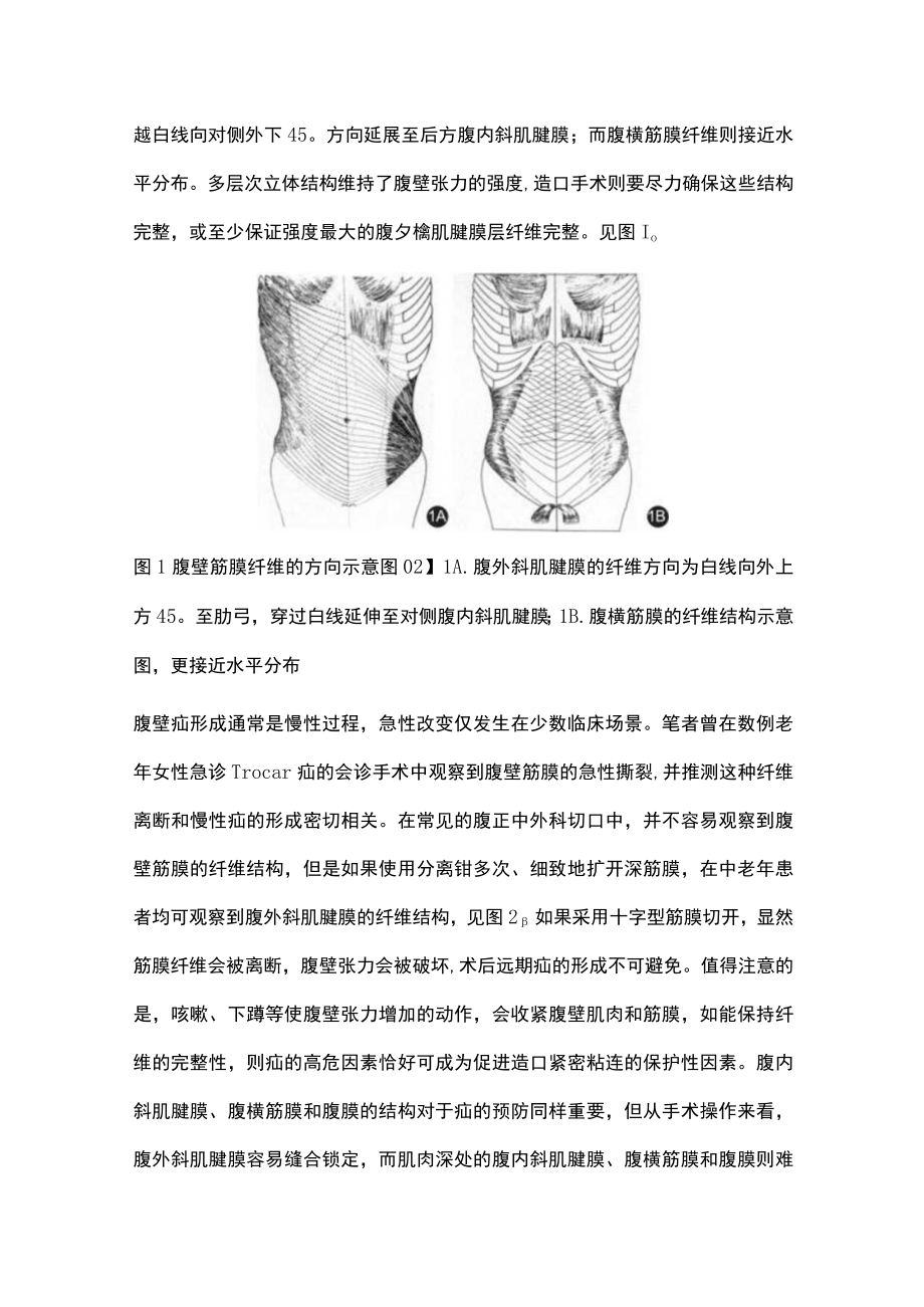 2022基于腹壁张力和筋膜锁定缝合的肠造口技术（全文）.docx_第3页