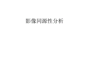 影像同源性分析.ppt