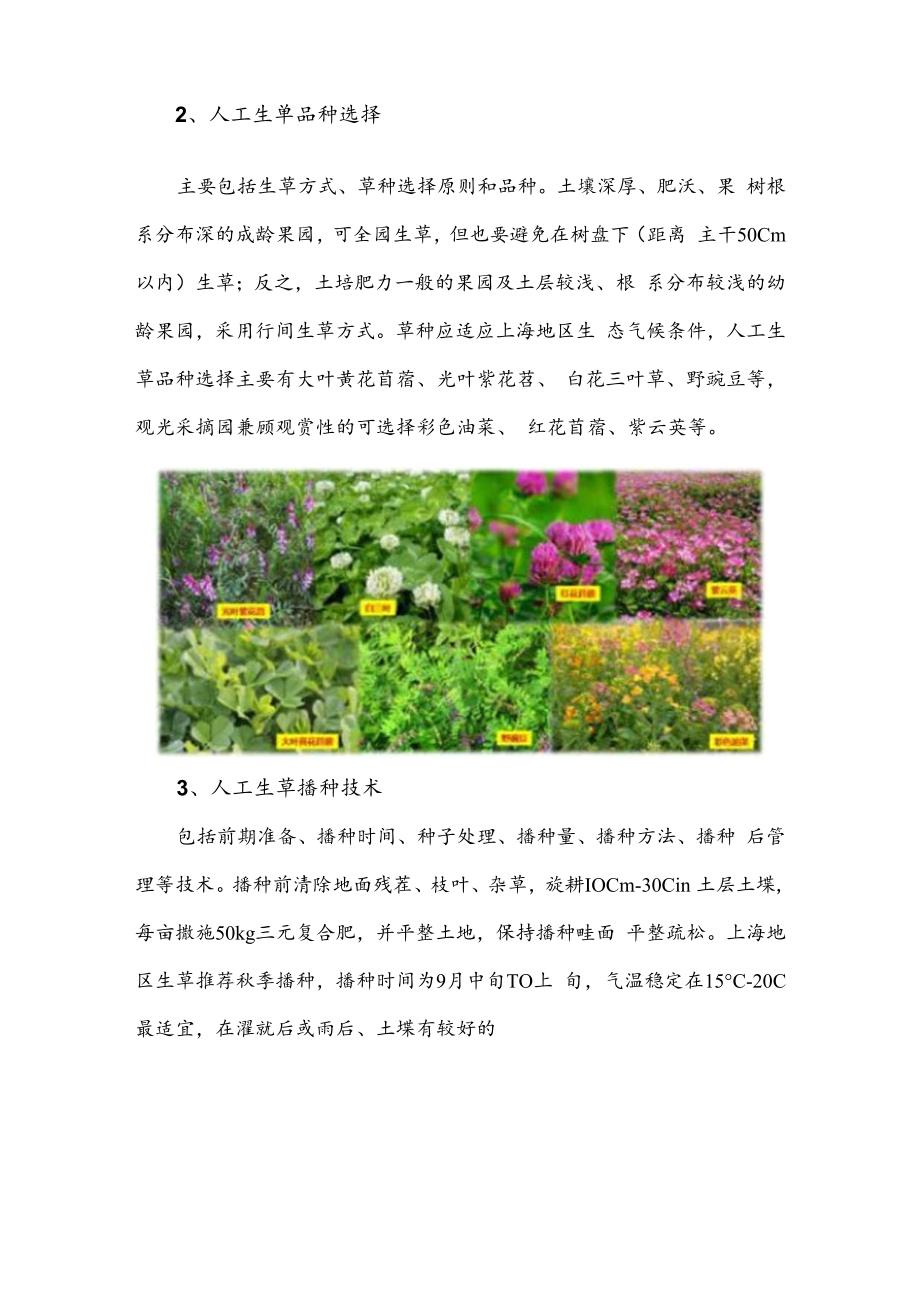 2024年上海市农业主推技-果园生草栽培技术.docx_第3页