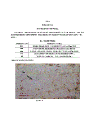 除锈处理等级表面状态描述、闪锈等级的典型样板照片、典型的工艺流程图.docx