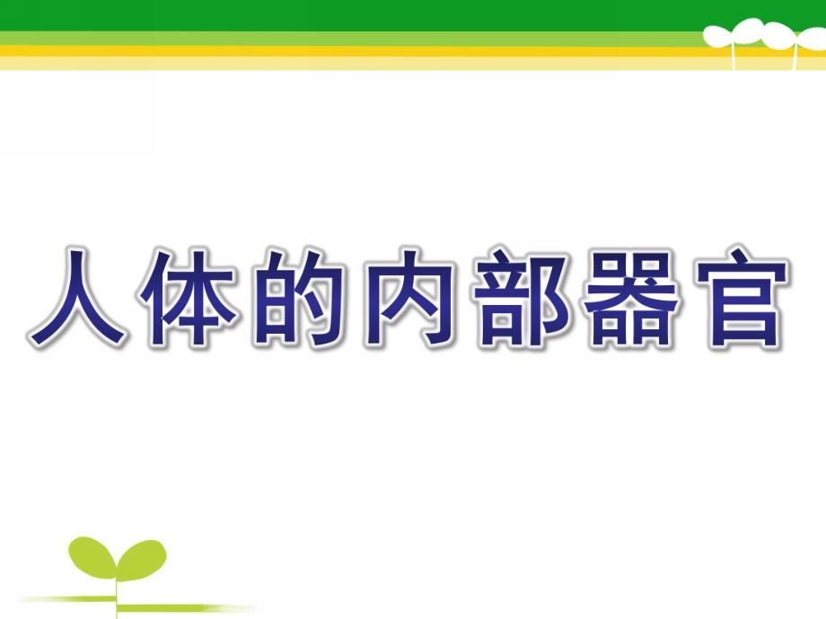 幼儿园主题《人体的内部器官》PPT课件幼儿园主题课：人体的内部器官.pptx_第1页