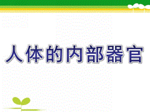 幼儿园主题《人体的内部器官》PPT课件幼儿园主题课：人体的内部器官.pptx