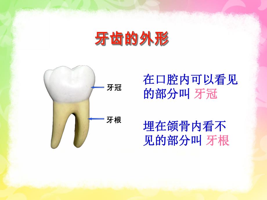 幼儿正确刷牙PPT课件幼儿正确刷牙ppt.pptx_第3页